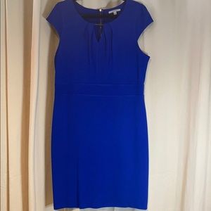 Royal Blue Dress